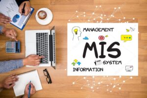 mis management information system data